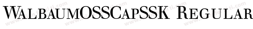 WalbaumOSSCapSSK Regular字体转换